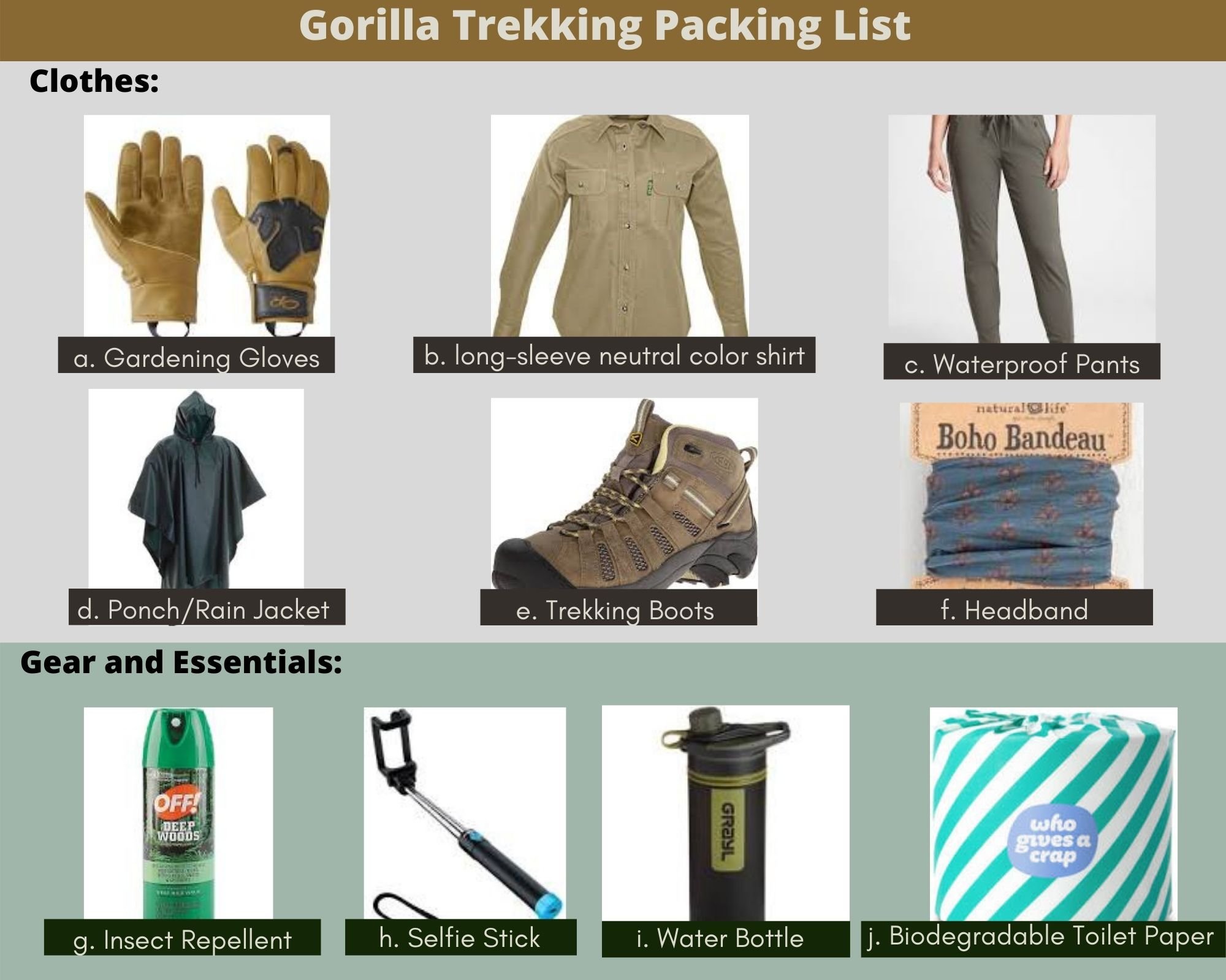 Gorilla trekking best time