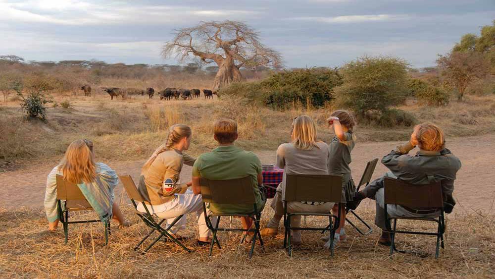 Group safaris booking guide