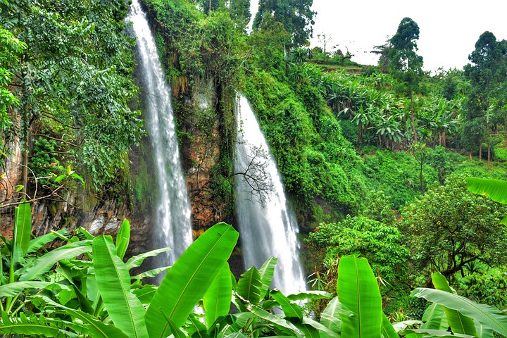 Sipi Falls